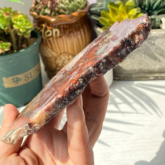 Natural Mexican Crazy Lace Agate Slab - Picture 8 of 10